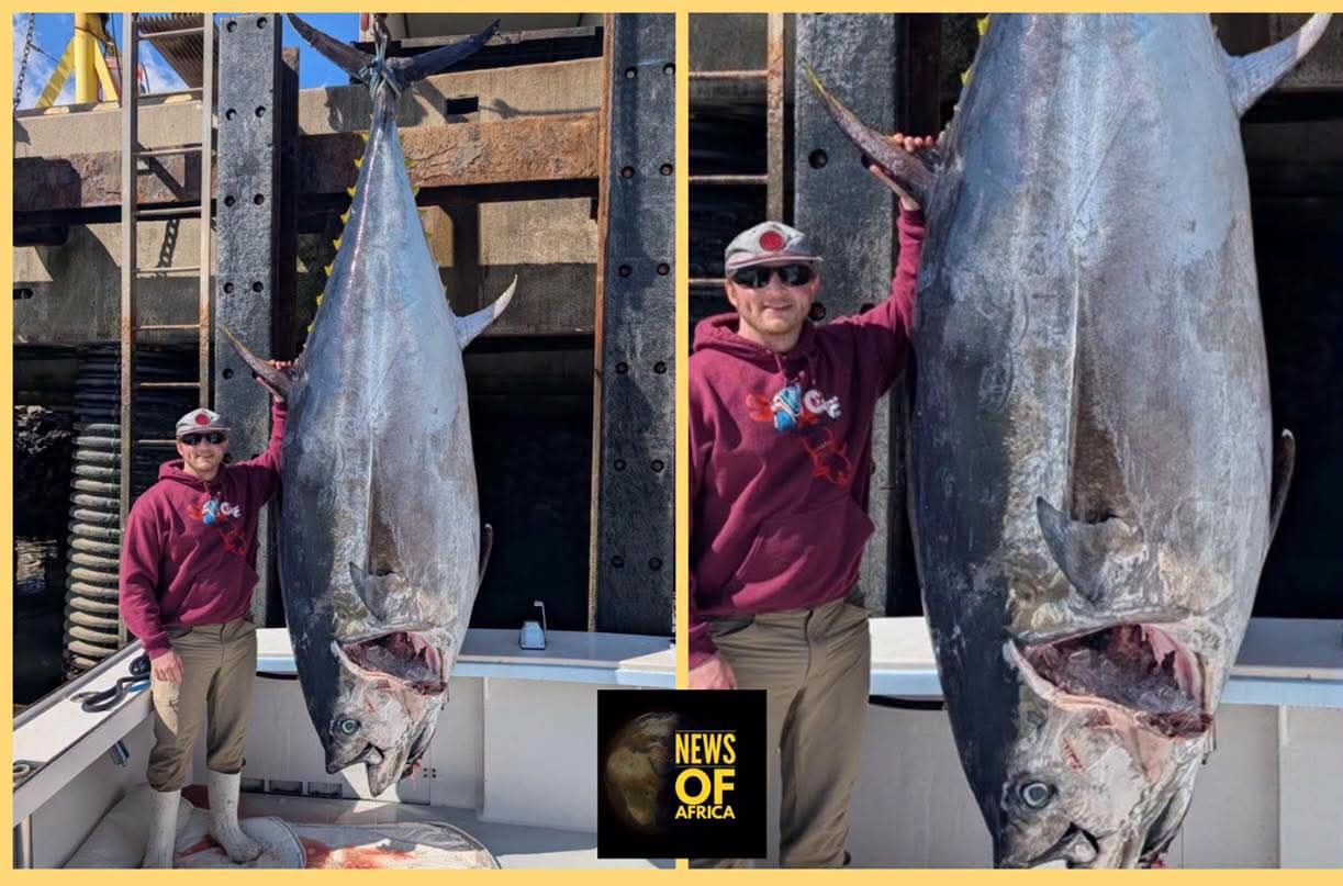 United Kingdom: Fisherman breaks record as he catches state`s largest bluefin tuna